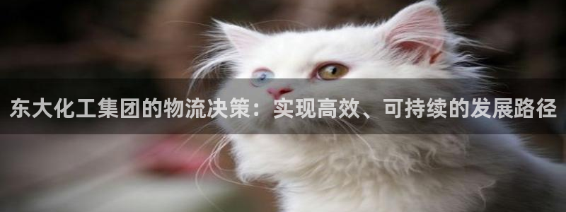球盟会最新：东大化工集团的物流决策：实现高效、可持续的发展路