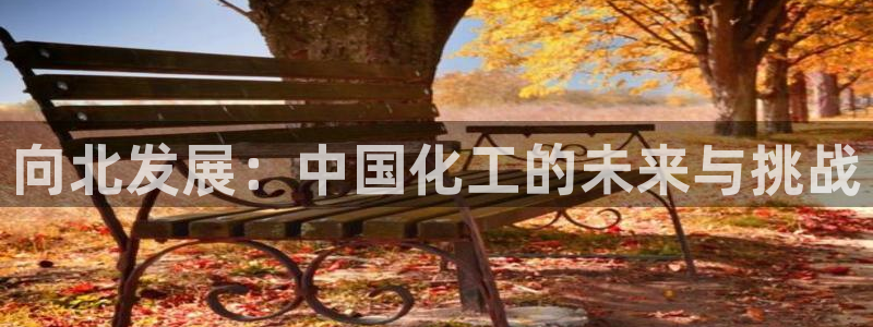 球盟会qmh网页版登录：向北发展：中国化工的未来与挑战