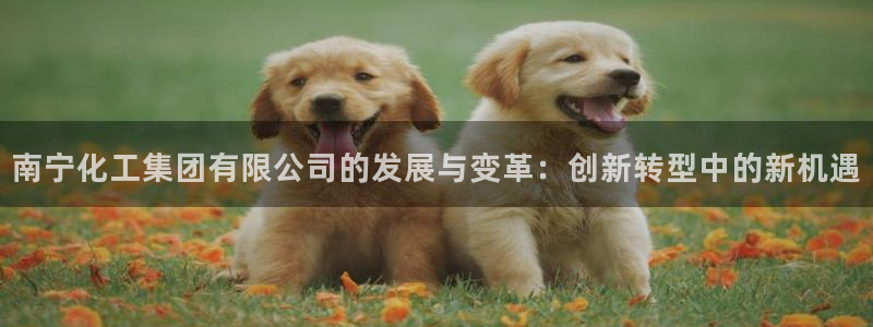 球盟会里面有打牌的嘛知乎：南宁化工集团有限公司的发展与变革：