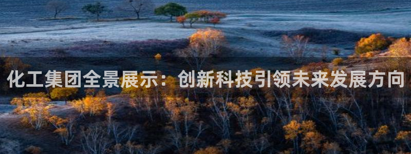 球盟会游戏：化工集团全景展示：创新科技引领未来发展方向