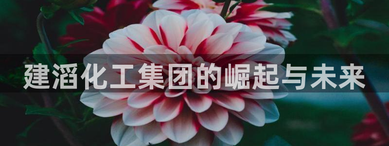 千亿球盟会：建滔化工集团的崛起与未来