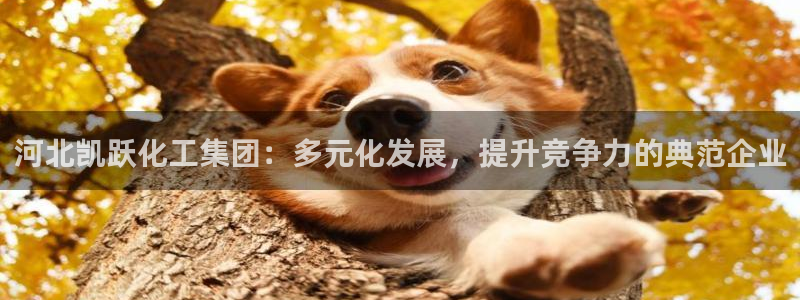 球盟会：河北凯跃化工集团：多元化发展，提升竞争力的典范企业