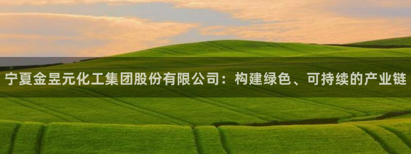 球盟会app最新地址在哪：宁夏金昱元化工集团股份有限公司：构