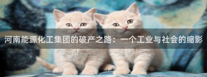球盟会可靠不：河南能源化工集团的破产之路：一个工业与社会的缩