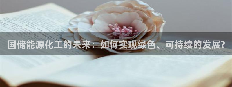 球盟会app最新地址在哪看：国储能源化工的未来：如何实现绿色