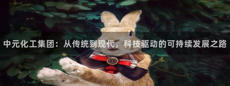 球盟会登录网址：中元化工集团：从传统到现代，科技驱动的可持续