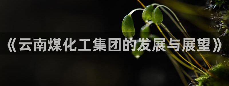 球盟会官方登录平台：《云南煤化工集团的发展与展望》