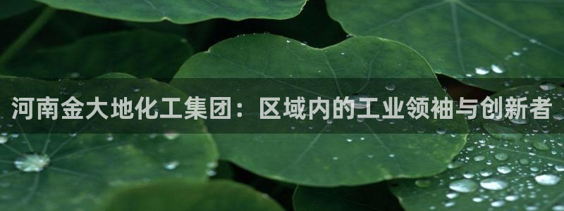 球盟会电子好下吗：河南金大地化工集团：区域内的工业领袖与创新