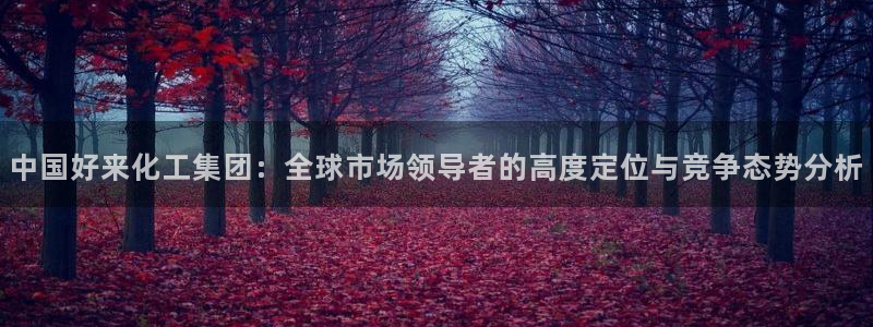 球盟会里面有打牌的嘛是真的吗：中国好来化工集团：全球市场领导