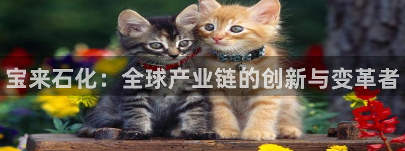 球盟会有没有黑单的人：宝来石化：全球产业链的创新与变革者