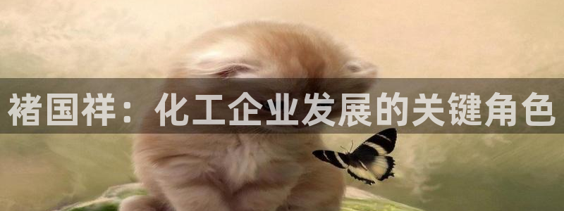 球盟会(中国)官方网站：褚国祥：化工企业发展的关键角色