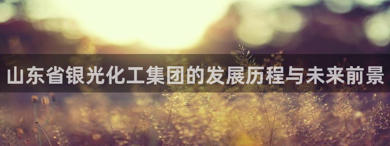 球盟会官方网站app：山东省银光化工集团的发展历程与未来前景