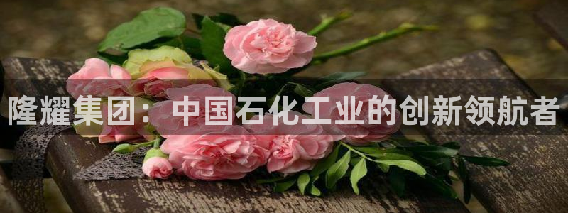 球盟会官方网站入口：隆耀集团：中国石化工业的创新领航者