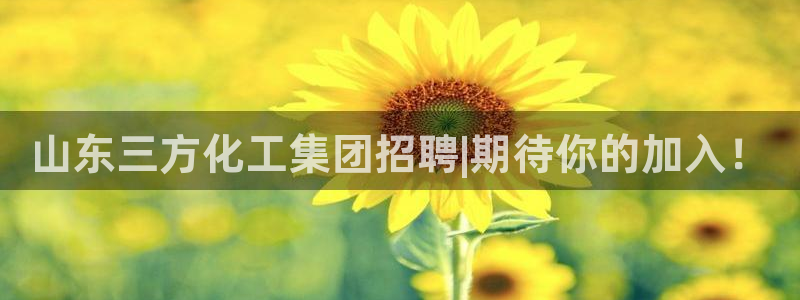 球盟会(中国)官方网站：山东三方化工集团招聘|期待你的加入！