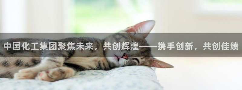 球盟会官网app下载：中国化工集团聚焦未来，共创辉煌——携手