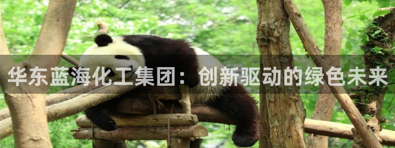 球盟会登陆中心：华东蓝海化工集团：创新驱动的绿色未来
