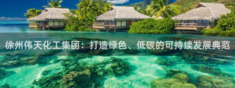 球盟会类似的网站：徐州伟天化工集团：打造绿色、低碳的可持续发