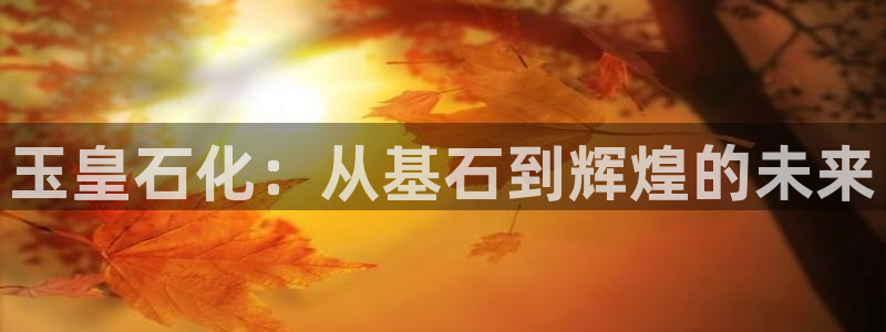 球盟会唯一：玉皇石化：从基石到辉煌的未来