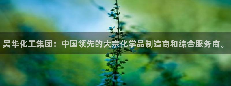 球盟会官方平台入口：昊华化工集团：中国领