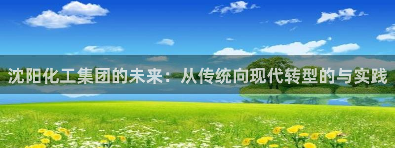 球盟会可以提现么是真的吗：沈阳化工集团的未来：从传统向现代转