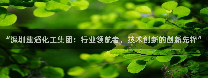 球盟会进不去吗：“深圳建滔化工集团：行业