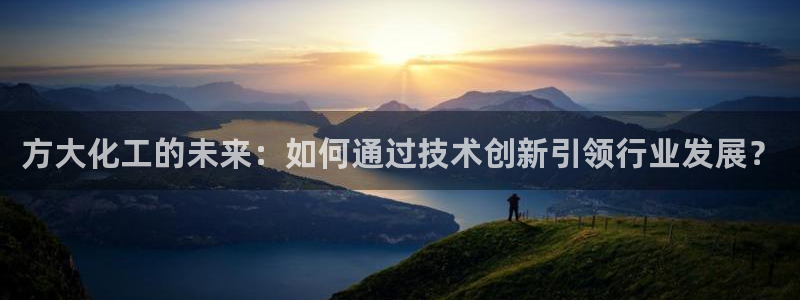 球盟会网页版登陆：方大化工的未来：如何通过技术创新引领行业发