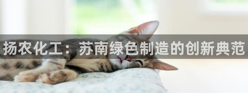 球盟会提款支付宝怎么样：扬农化工：苏南绿色制造的创新典范