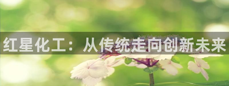 球盟会有没有黑单的：红星化工：从传统走向创新未来