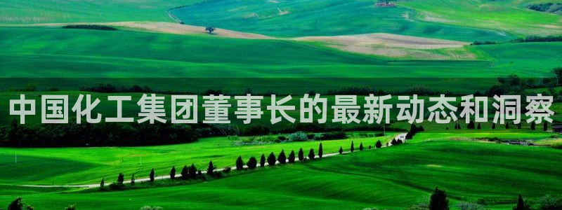 球盟会在线登录官网：中国化工集团董事长的最新动态和洞察
