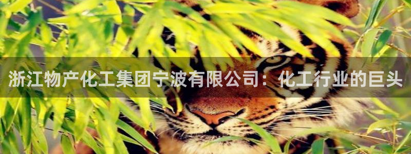 球盟会最新地址备用
