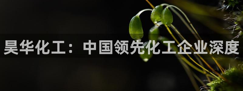 球盟会可以提现么现在