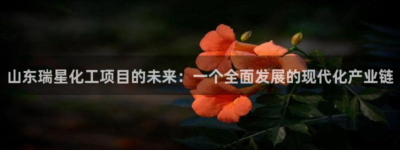 球盟会登录平台：山东瑞星化工项目的未来：一个全面发展的现代化