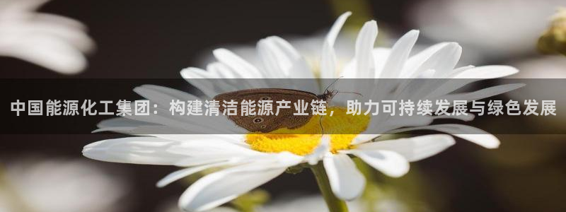 球盟会福利码2023最简单三个步骤：中国能源化工集团：构建清