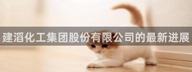 千亿球盟会：建滔化工集团股份有限公司的最
