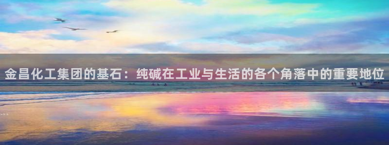 球盟会官网网页版：金昌化工集团的基石：纯