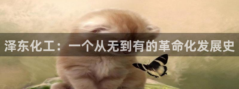 球盟会平台会黑单吗：泽东化工：一个从无到有的革命化发展史
