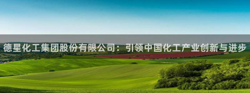 千亿球盟会乐玩：德星化工集团股份有限公司：引领中国化工产业创