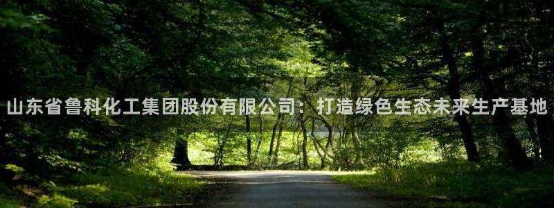 球盟会黑款吗知乎文章：山东省鲁科化工集团股份有限公司：打造绿
