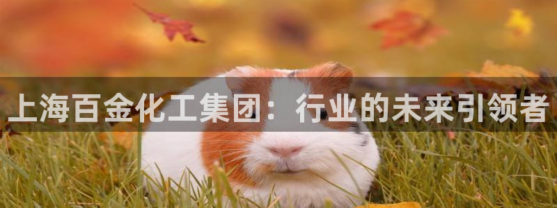 球盟会官方登录平台：上海百金化工集团：行业的未来引领者