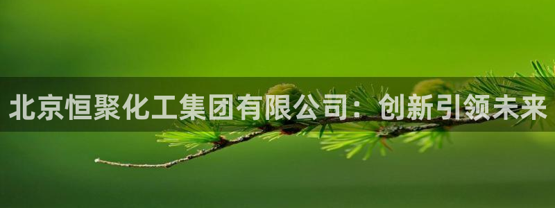 球盟会app手机登录：北京恒聚化工集团有限公司：创新引领未来