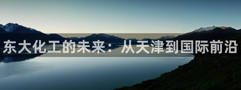 球盟会app最新地址下载：东大化工的未来：从天津到国际前沿
