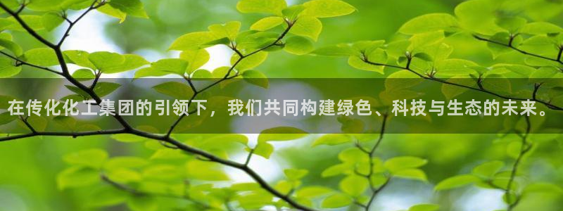 球盟会游戏：在传化化工集团的引领下，我们共同构建绿色、科技与