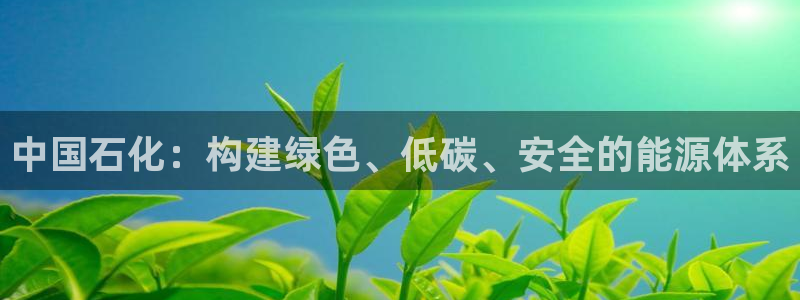 球盟会APP最新地址：中国石化：构建绿色、低碳、安全的能源体