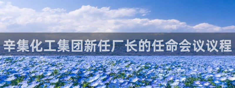 球盟会地址：辛集化工集团新任厂长的任命会议议程