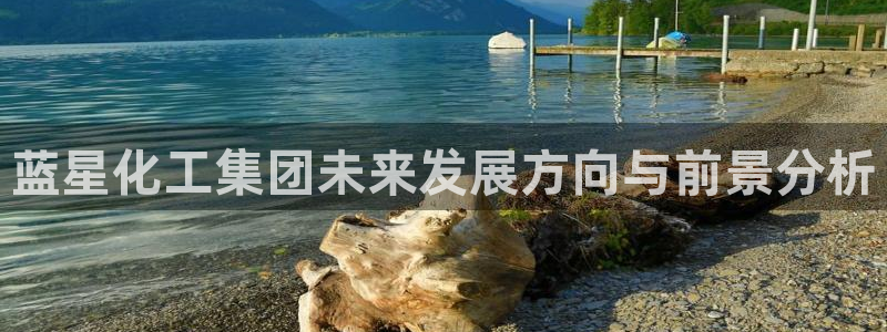 球盟会进不去：蓝星化工集团未来发展方向与前景分析