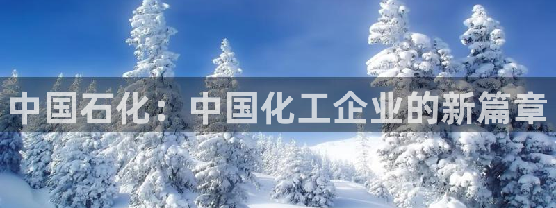 球盟会黑台：中国石化：中国化工企业的新篇章