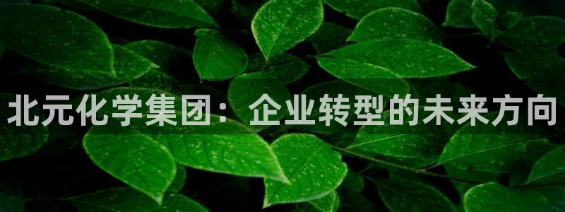 球盟会app最新地址在哪找：北元化学集团：企业转型的未来方向