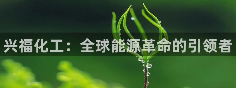 球盟会乐虎：兴福化工：全球能源革命的引领者