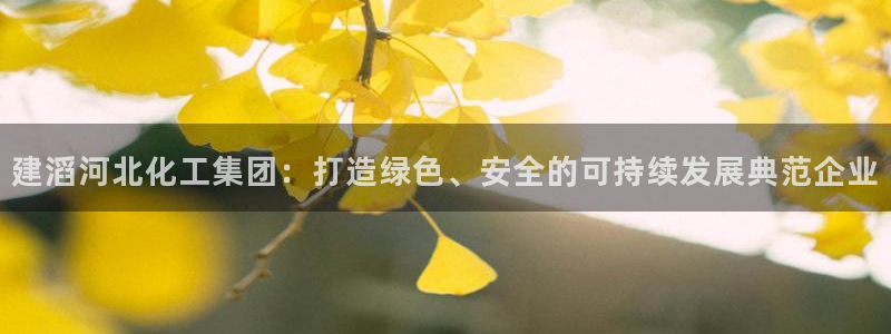 千亿球盟会：建滔河北化工集团：打造绿色、安全的可持续发展典范