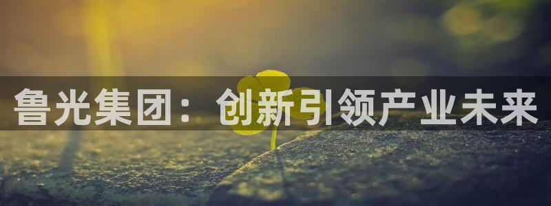 球盟会APP下载：鲁光集团：创新引领产业未来